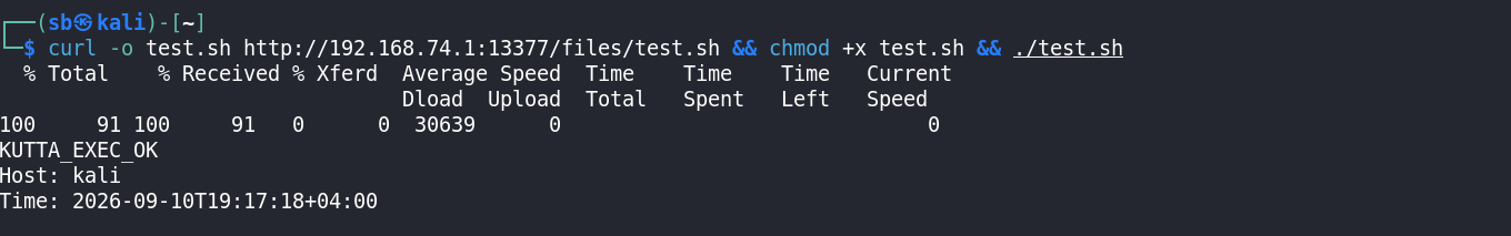 Kali Kutta test execution